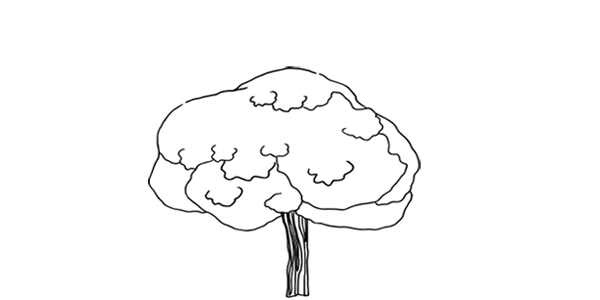 tei